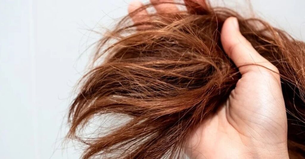 Summer Hair Protection Tips: 15 Secrets Stylists Hide